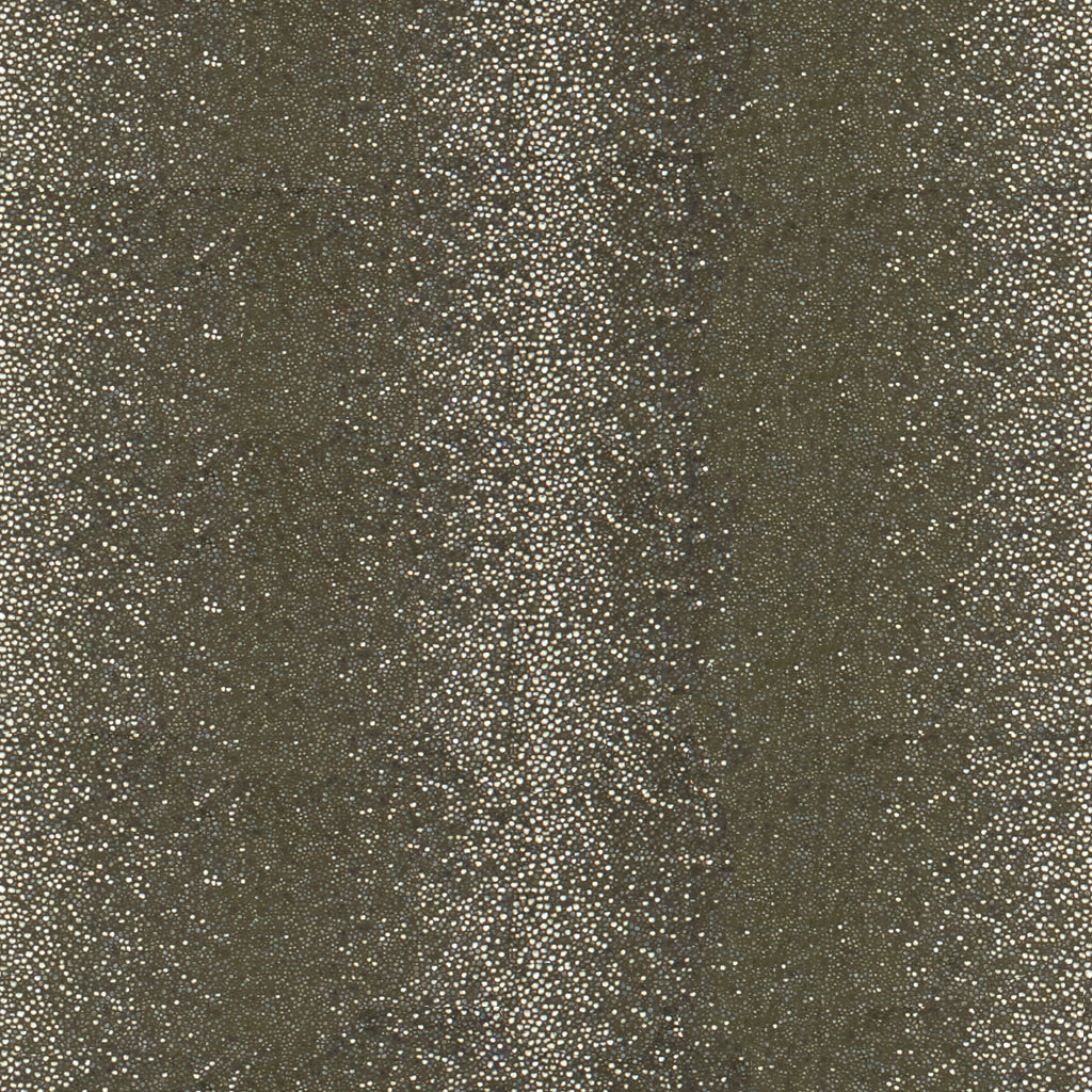 Kravet Couture, 34031-1610