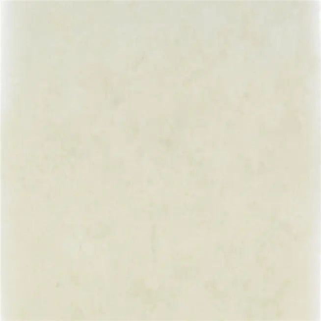 Ellora Rain Washed 02 Champagne | Designers Guild Europe