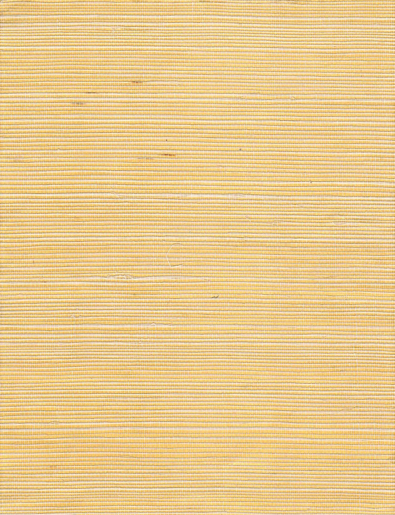 Abacca Extra Gold