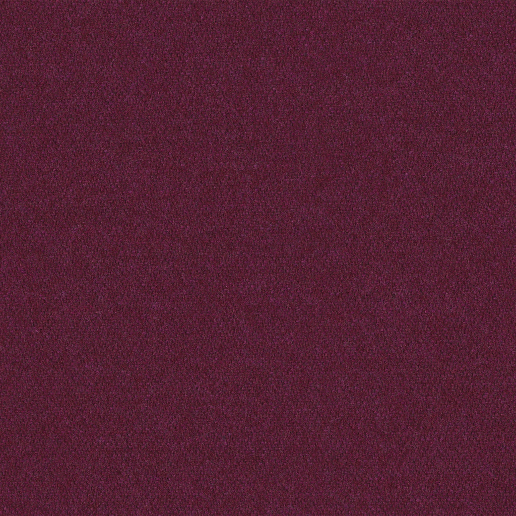 Heather, Plum