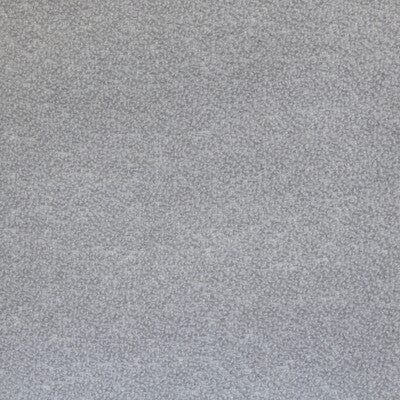 Kravet Couture, Light Gray