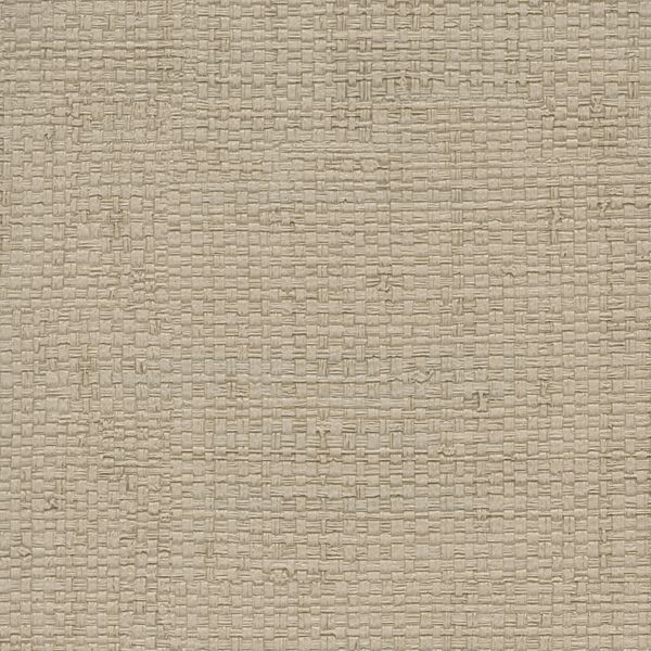 Athens Katari Driftwood Wallcovering | Phillipe Romano