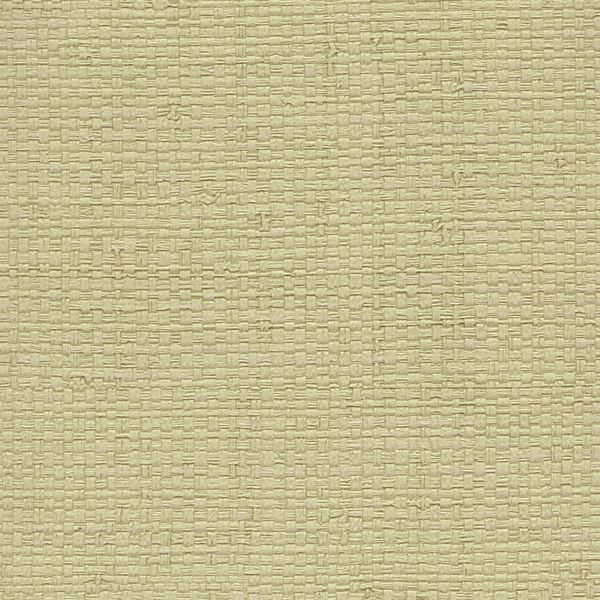 Athens Katari Lichen Wallcovering | Phillipe Romano