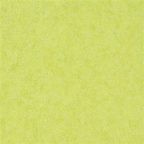 Mayura Plain 14 Lime Wallpaper | Designers Guild Europe