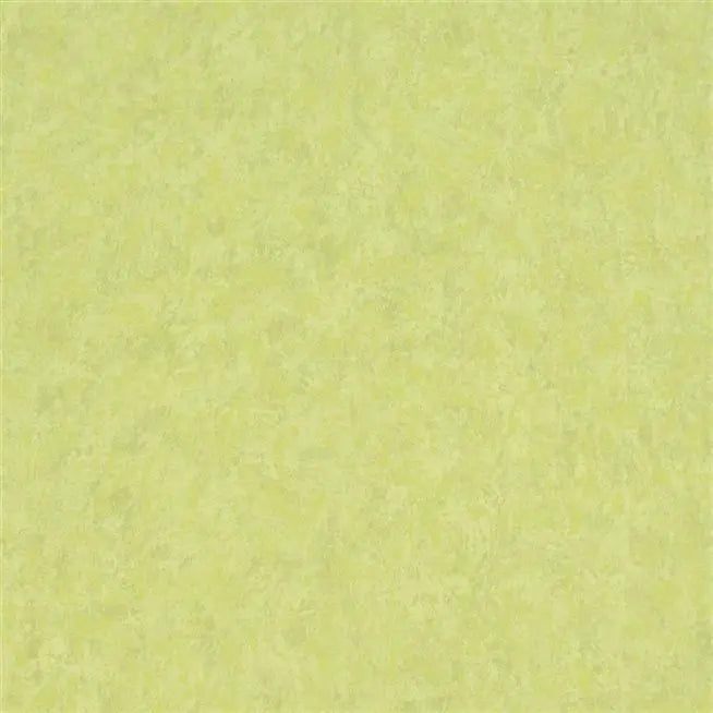 Mayura Plain 15 Moss | Designers Guild Europe