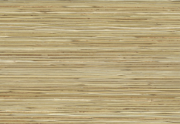 Essex-Hot Sauce Wallcovering | Phillipe Romano