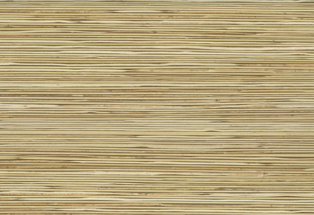 Essex-Hot Sauce Wallcovering | Phillipe Romano — SPEC-500720