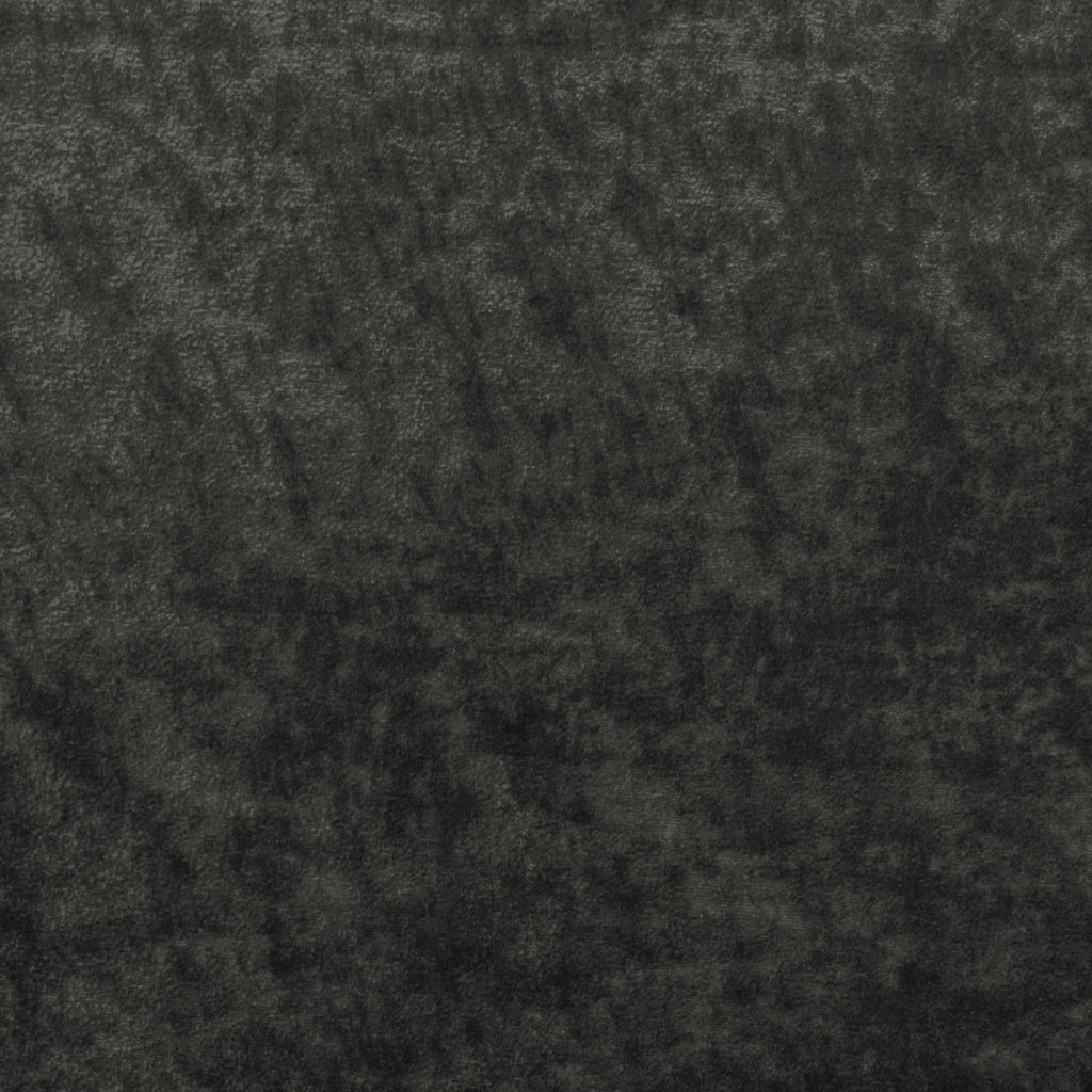 Kravet Couture, Charcoal Gray