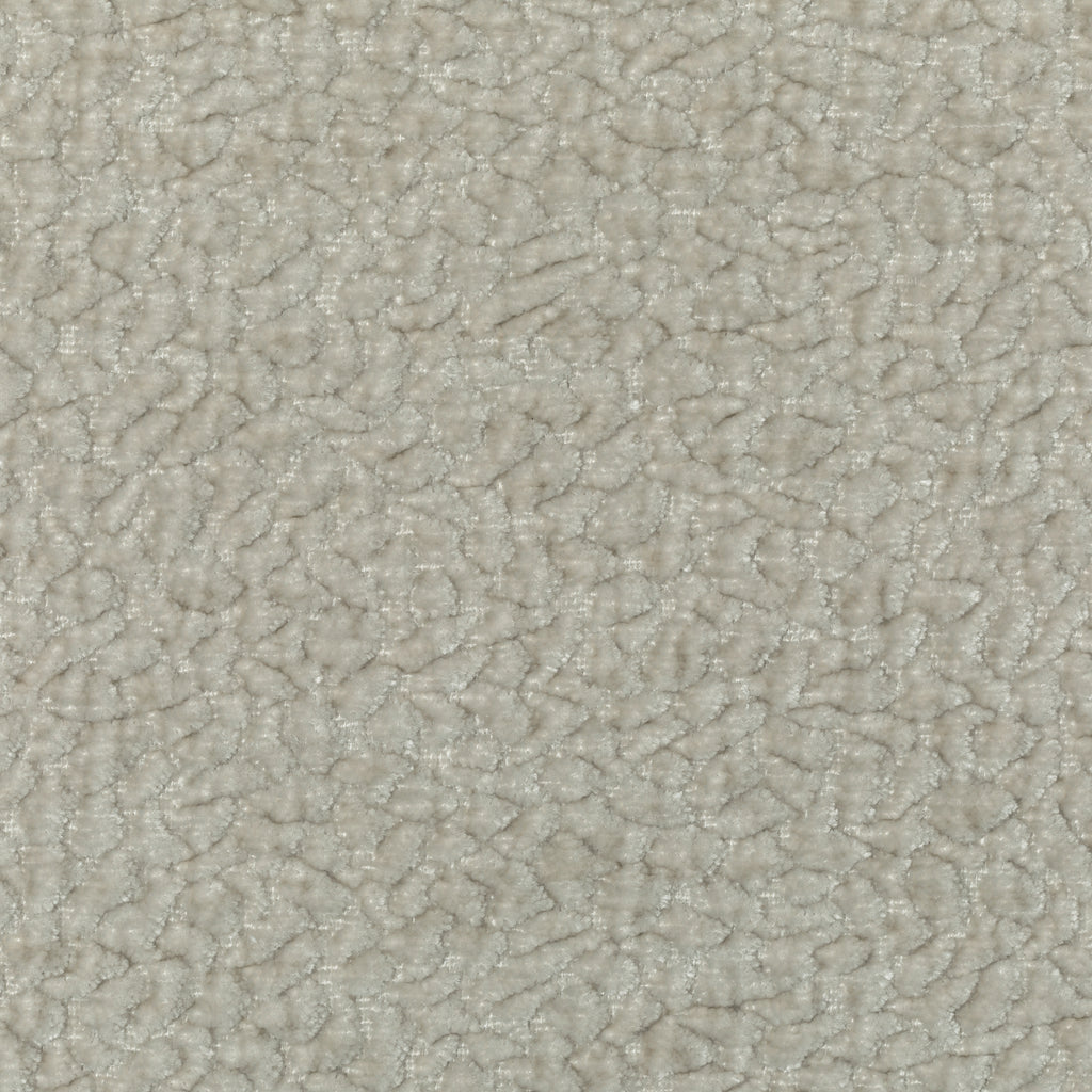 Kravet Couture, Beige