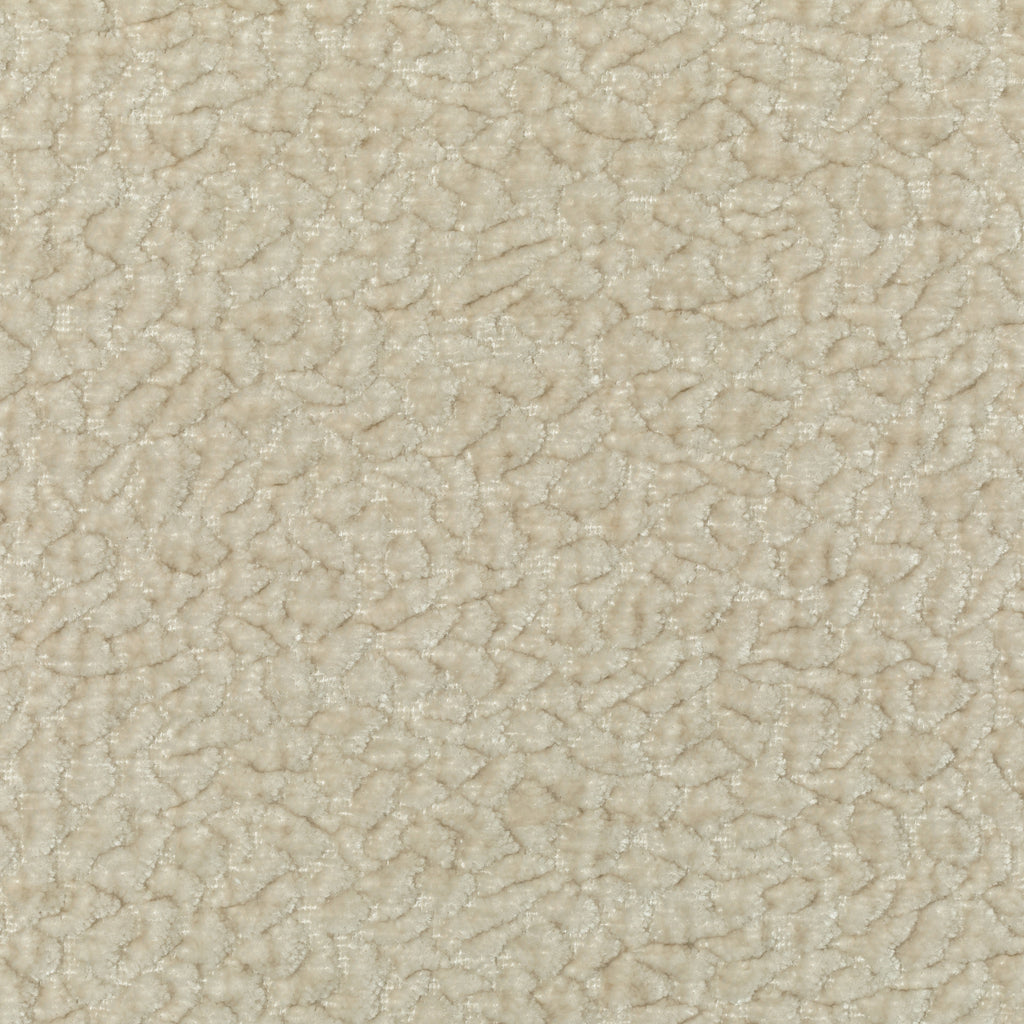 Kravet Couture, Beige
