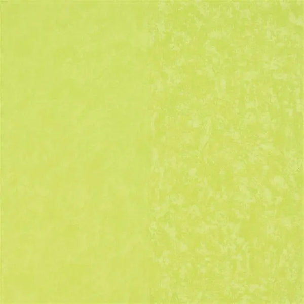 Kalpana Stripe 14 Lime Wallpaper | Designers Guild Europe