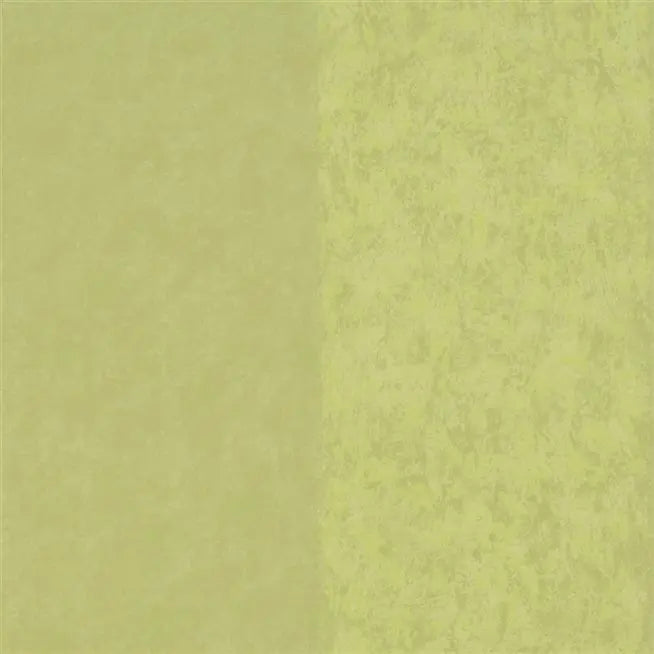 Kalpana Stripe 15 Moss Wallpaper | Designers Guild Europe