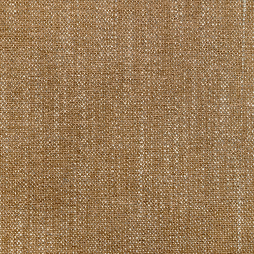 Les Touches - Peridot Green By Brunschwig & Fils | B&F Showroom Exclusive 2019 | Animal Skins Multipurpose Print