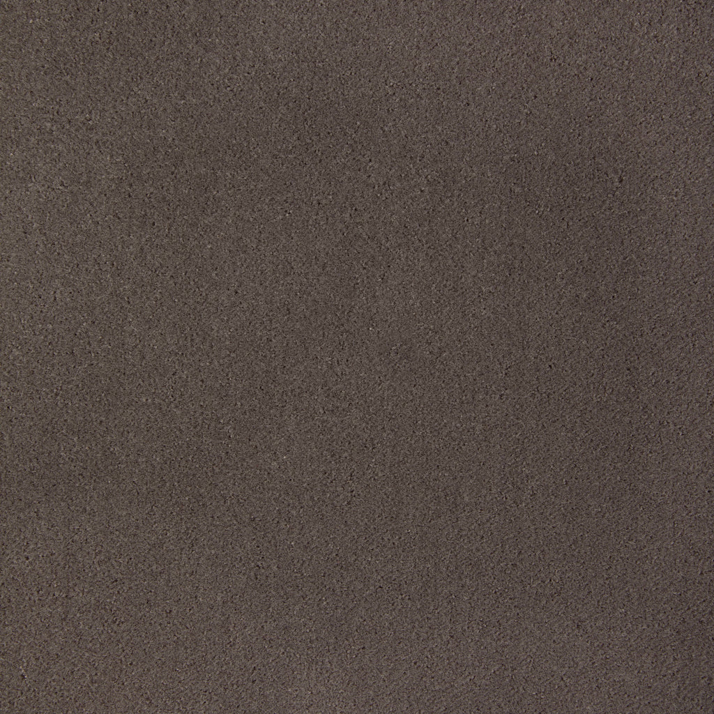 Fomo, Taupe
