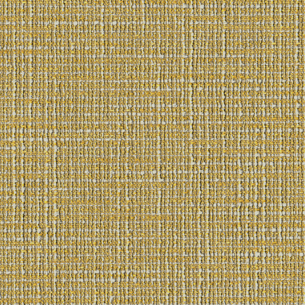 Hashtag, Dandelion Wallcoverings | Designtex