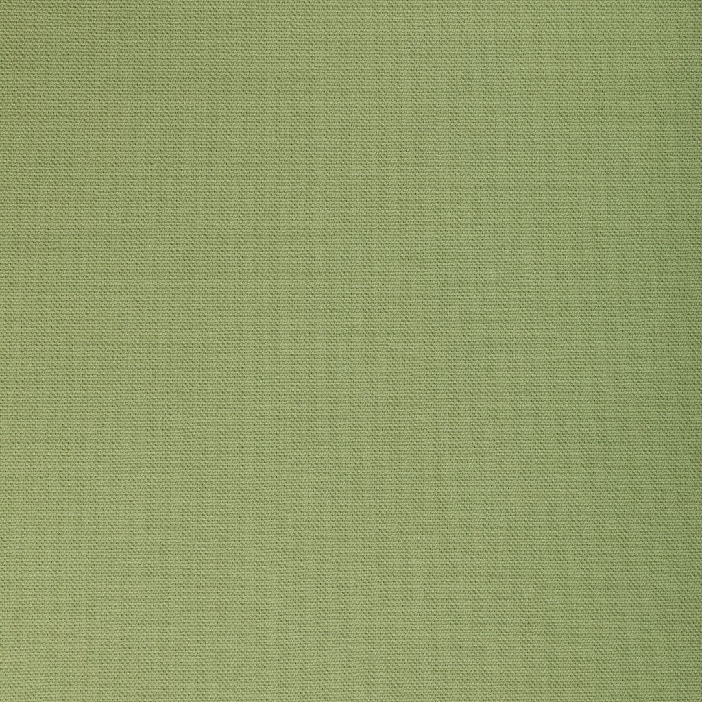 Kravet Basics, Sage Green