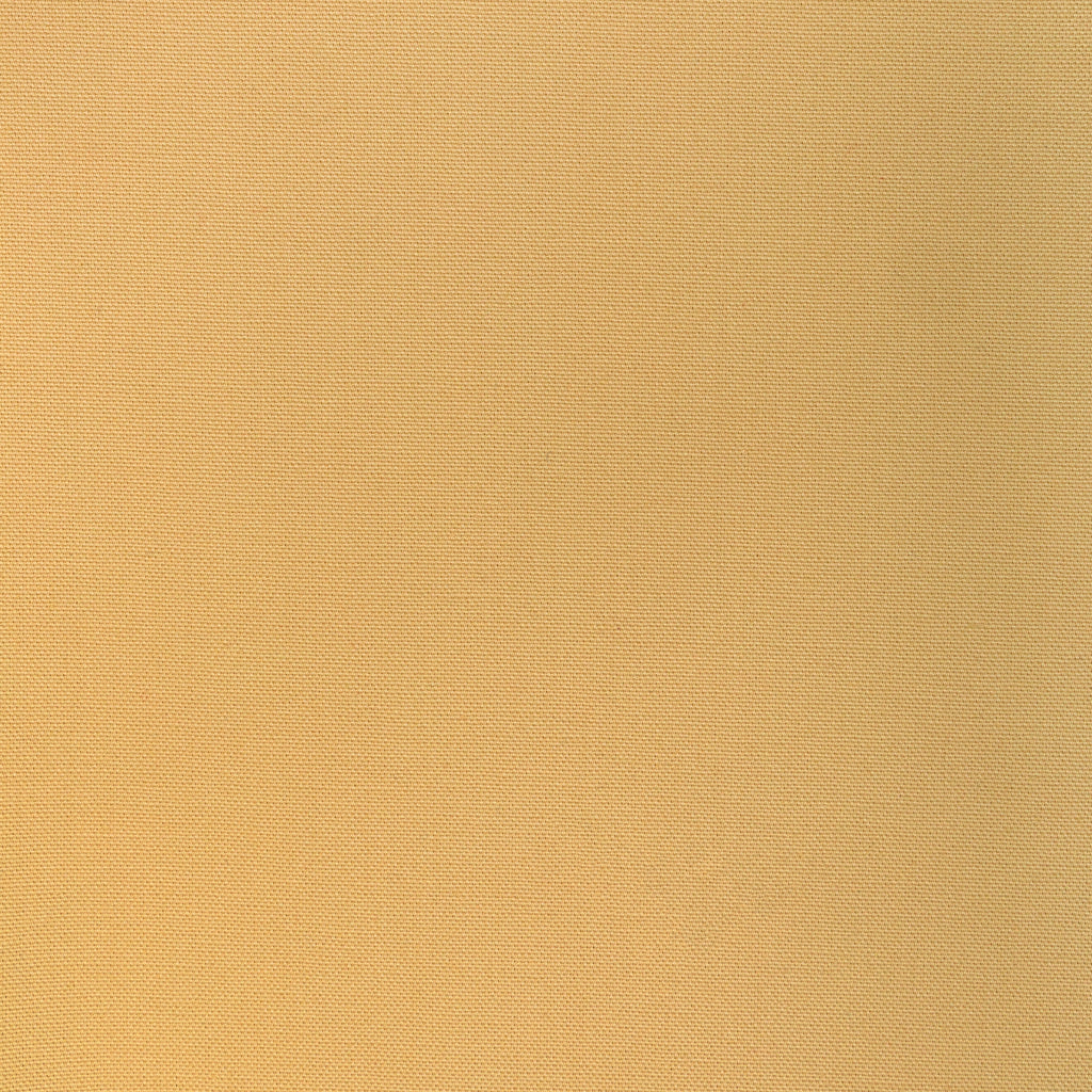 Kravet Basics, Gold