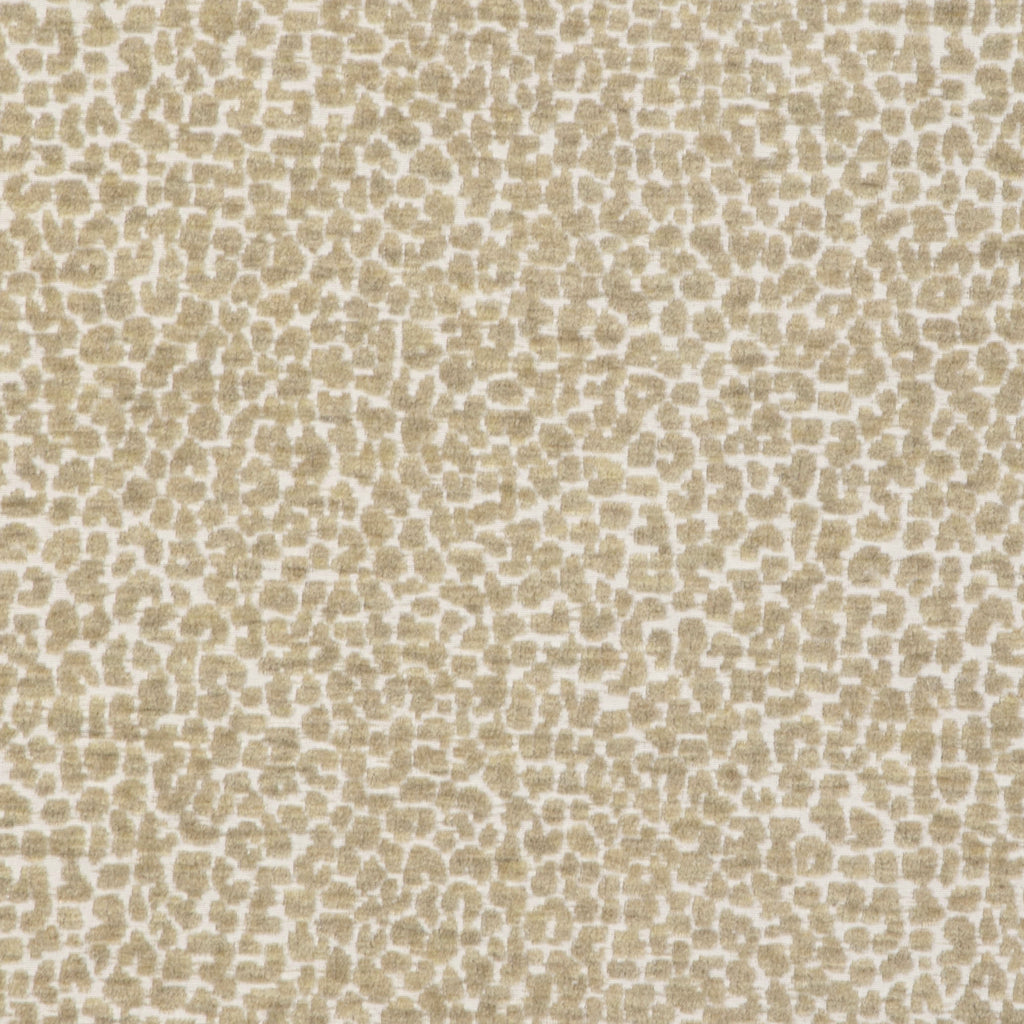 Kravet Design, Off-White