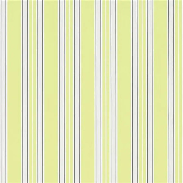Pinstripe 07 Lime | Designers Guild Europe