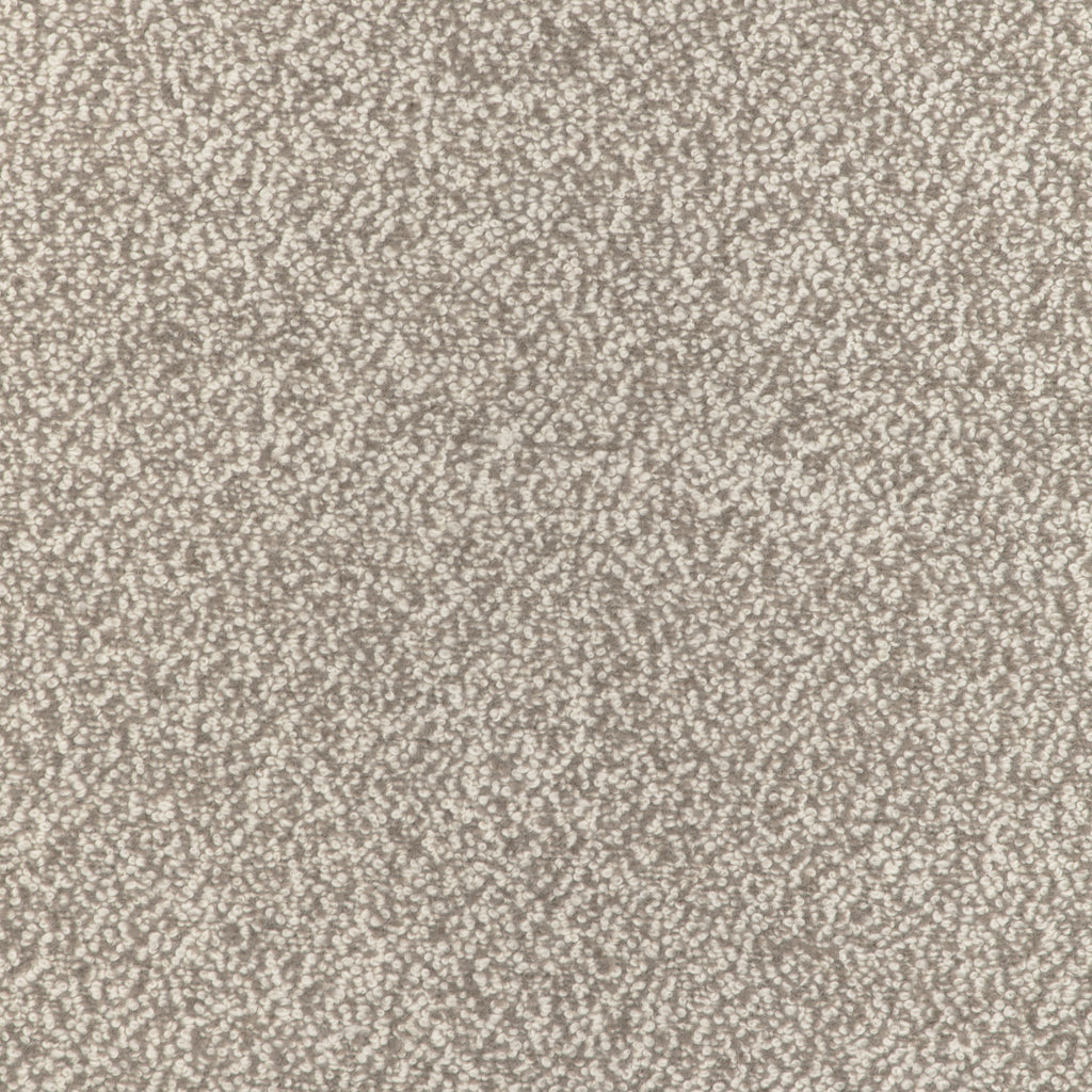 Alpaca Boucle, Beige