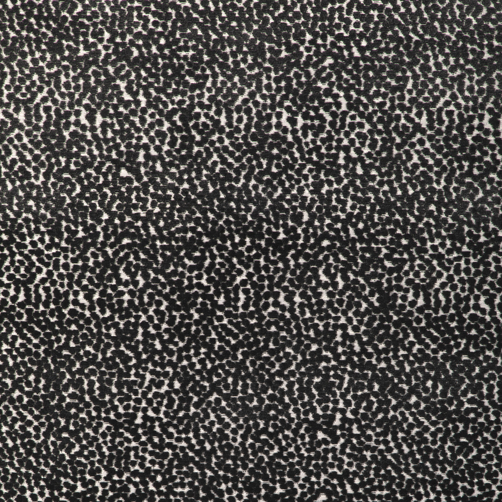 Kravet Design, White