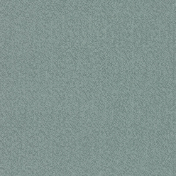 Carnegie Siltech Grain - Color 9