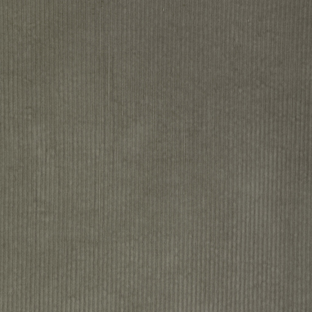 Kravet Smart, Gray