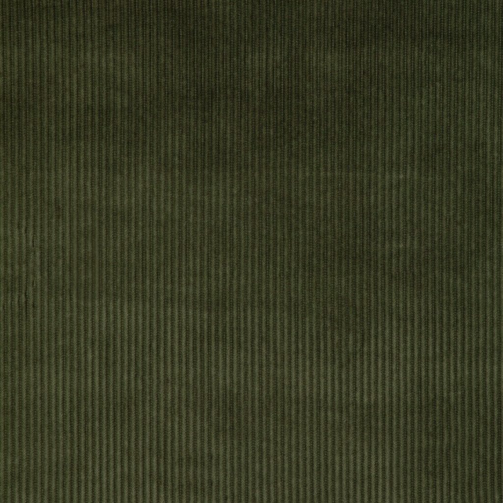 Kravet Smart, Olive Green