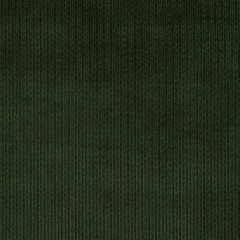 Kravet Smart, Dark Green
