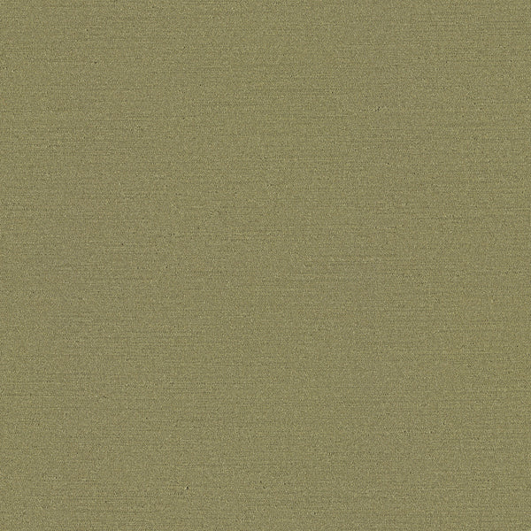 Rise, Fennel Wallcoverings | Designtex