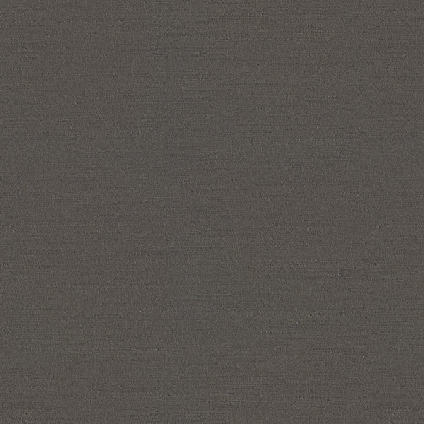 Rise, Charcoal Wallcoverings | Designtex