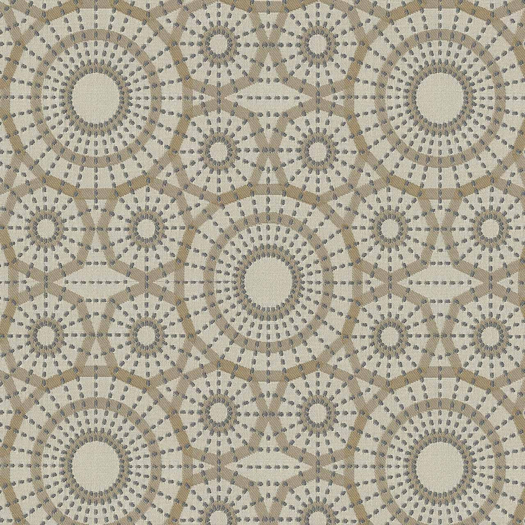Atria, Paperwhite
