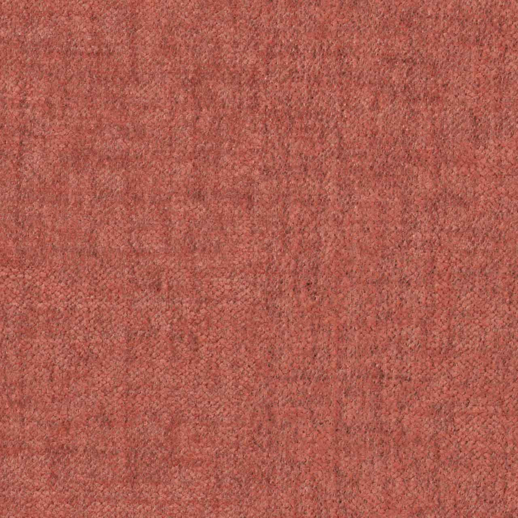 Nook, Coral