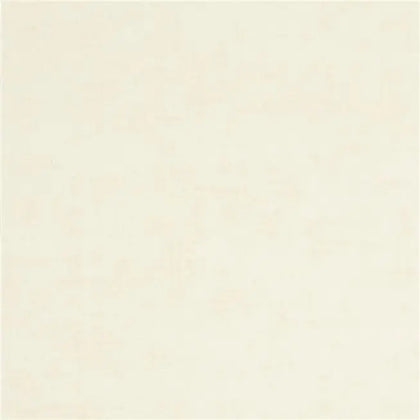 Seta Brush Stroke 02 Champagne | Designers Guild Europe