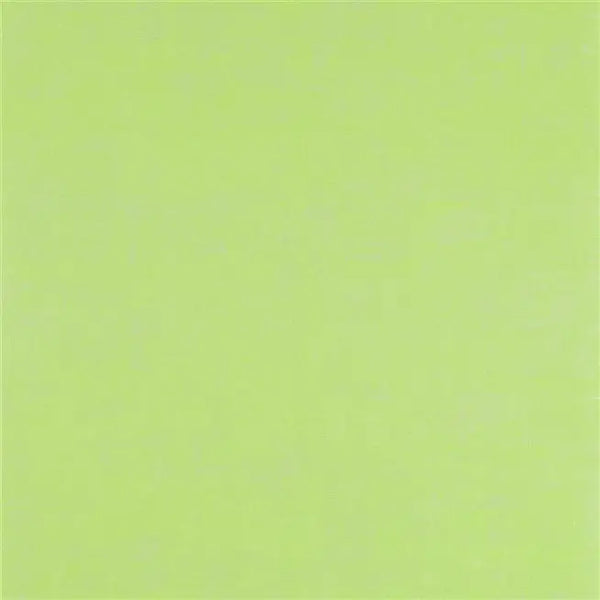 Seta Brush Stroke 10 Lime Wallpaper | Designers Guild Europe
