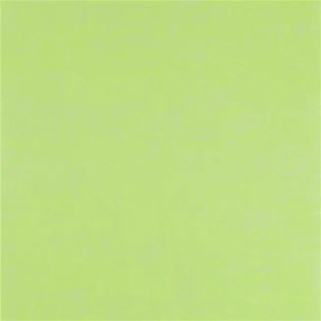 Seta Brush Stroke 10 Lime Wallpaper | Designers Guild Europe