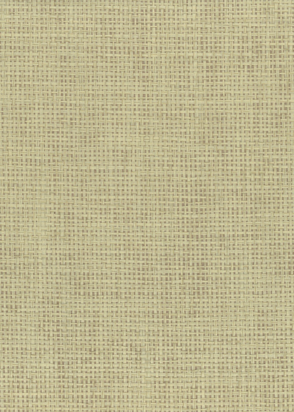 Darien-Rustic Paper Weave Wallcovering | Phillipe Romano