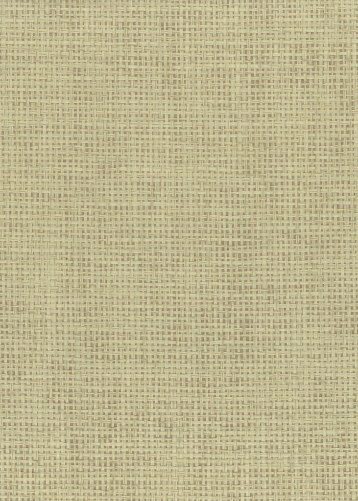 Darien-Rustic Paper Weave Wallcovering | Phillipe Romano — PWV-500090