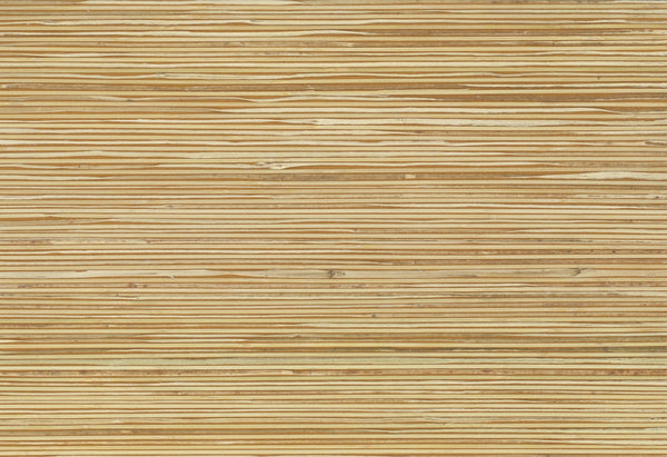 Essex-Sunflower Wallcovering | Phillipe Romano