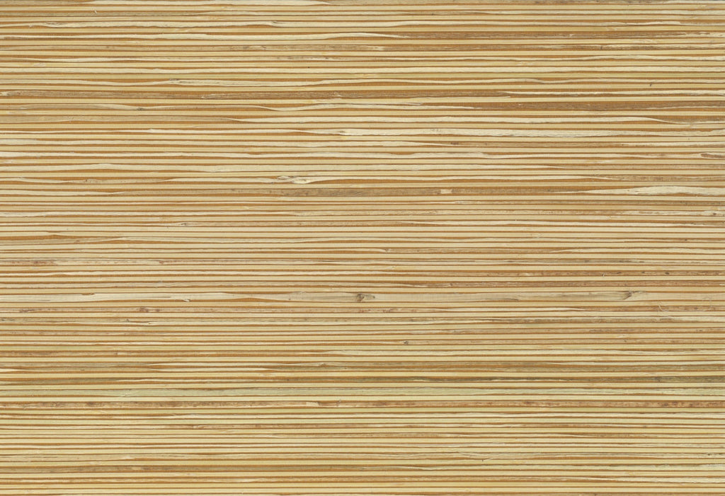Essex-Sunflower Wallcovering | Phillipe Romano — SPEC-500710