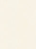 Jungle Chic Cream Wallcovering | AS Creation