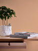 Jungle Chic Orange Wallcovering | AS Creation