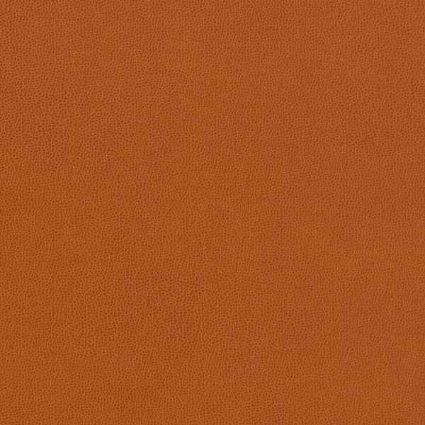 Carnegie Siltech Grain - Color 17