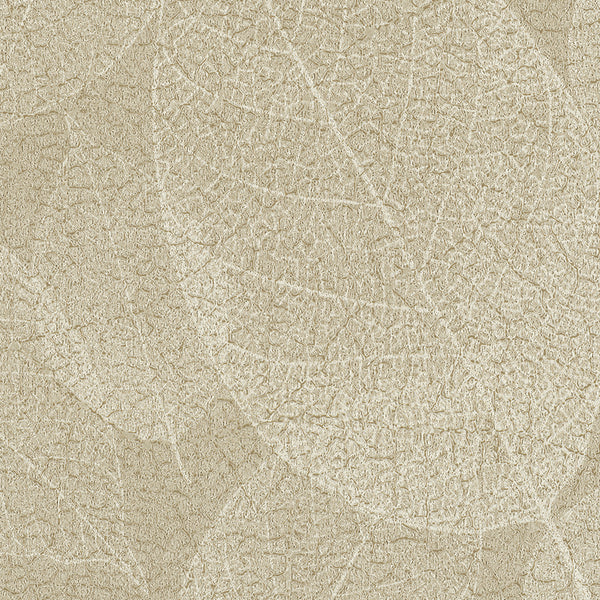 Athens Habitat Fossil Wallcovering | Phillipe Romano