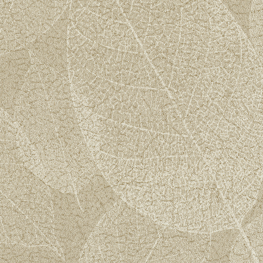 Athens Habitat Fossil Wallcovering | Phillipe Romano