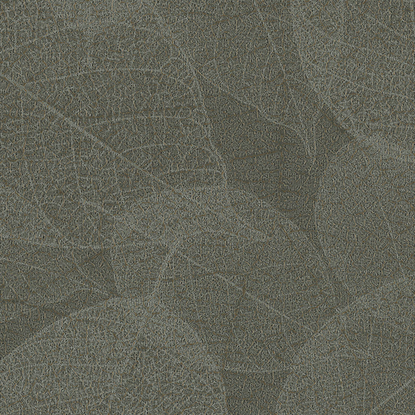 Athens Habitat Boreal Wallcovering | Phillipe Romano