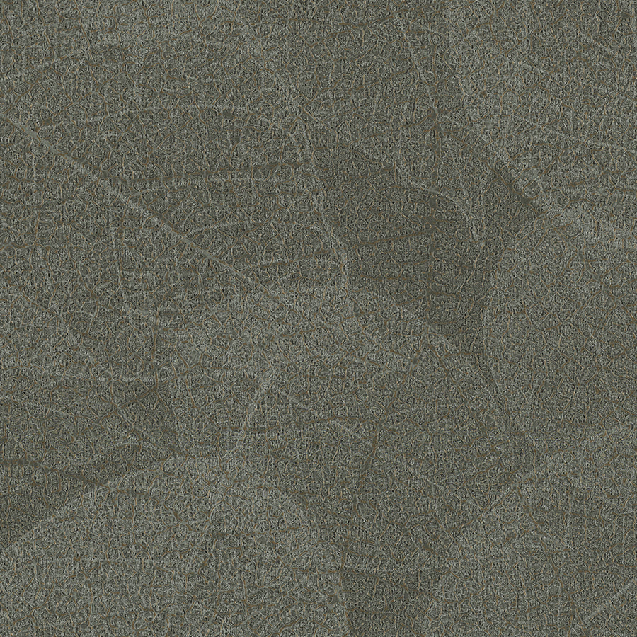 Athens Habitat Boreal Wallcovering | Phillipe Romano