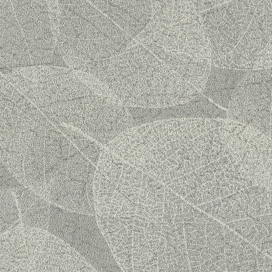 Athens Habitat Eucalyptus Wallcovering | Phillipe Romano