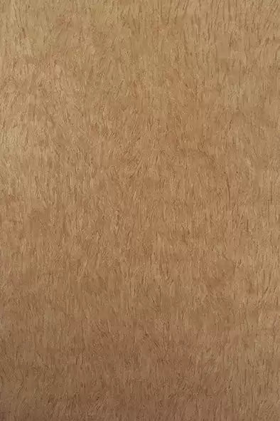 Falcon  Wallpaper | Osborne & Little Europe