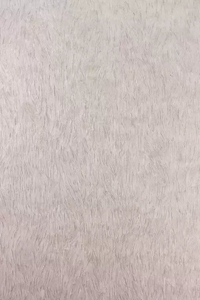 Falcon  Wallpaper | Osborne & Little Europe